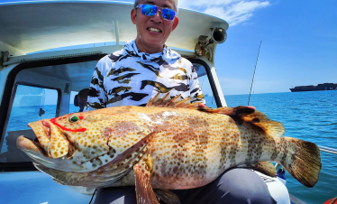 Pontian shipwreck giant grouper fish, caught using octopus bait and heavy jig head