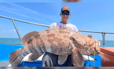 Pontian shipwreck giant grouper fish, caught using octopus bait and heavy jig head