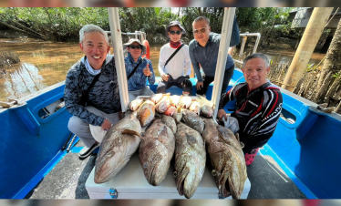 Catch report of Pontian shipwreck giant grouper fish, caught using octopus bait and heavy jig head
