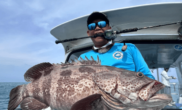 Pontian shipwreck giant grouper fish, caught using octopus bait and heavy jig head