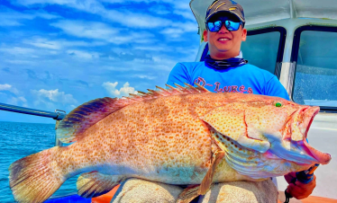 Pontian shipwreck giant grouper fish, caught using octopus bait and heavy jig head